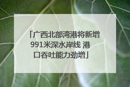 广西北部湾港将新增991米深水岸线 港口吞吐能力劲增