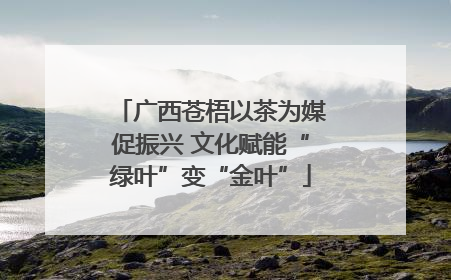 广西苍梧以茶为媒促振兴 文化赋能“绿叶”变“金叶”