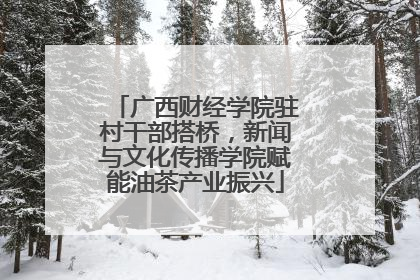 广西财经学院驻村干部搭桥，新闻与文化传播学院赋能油茶产业振兴