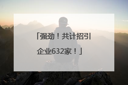 强劲！共计招引企业632家！