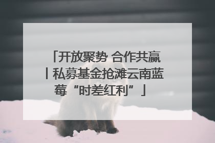 开放聚势 合作共赢丨私募基金抢滩云南蓝莓“时差红利”