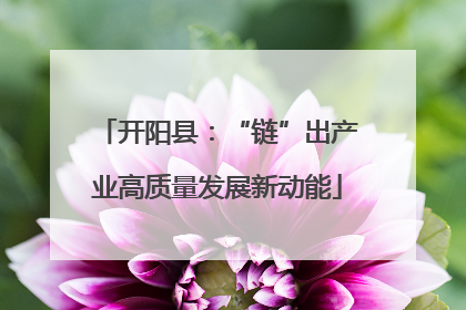开阳县：“链”出产业高质量发展新动能