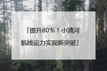 提升80％！小清河航线运力实现新突破