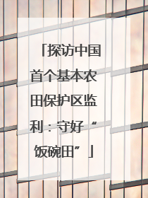 探访中国首个基本农田保护区监利：守好“饭碗田”