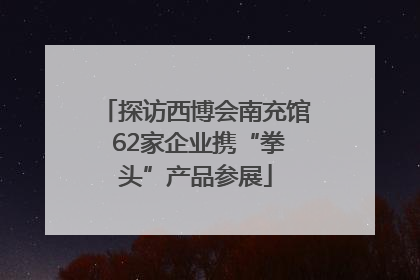 探访西博会南充馆 62家企业携“拳头”产品参展