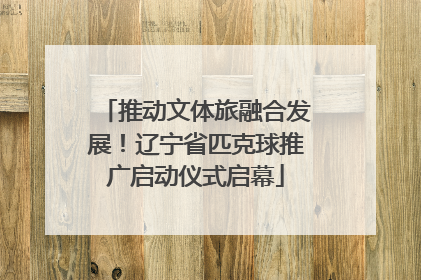 推动文体旅融合发展！辽宁省匹克球推广启动仪式启幕
