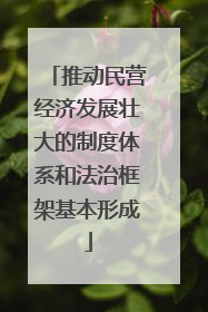 推动民营经济发展壮大的制度体系和法治框架基本形成