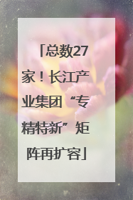 总数27家！长江产业集团“专精特新”矩阵再扩容