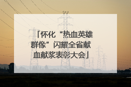 怀化“热血英雄群像”闪耀全省献血献浆表彰大会