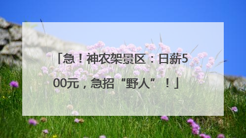 急！神农架景区：日薪500元，急招“野人”！