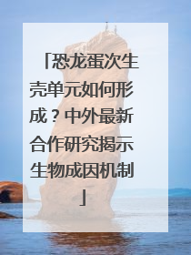 恐龙蛋次生壳单元如何形成？中外最新合作研究揭示生物成因机制