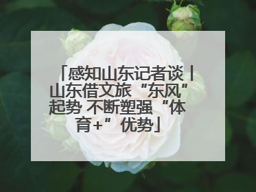 感知山东记者谈丨山东借文旅“东风”起势 不断塑强“体育+”优势