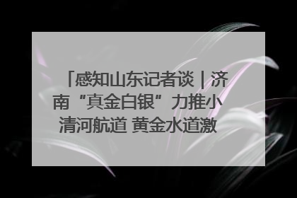 感知山东记者谈｜济南“真金白银”力推小清河航道 黄金水道激活区域经济新动能