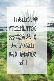 成山头举行全维度沉浸式演艺《东寻·成山赋》启动仪式