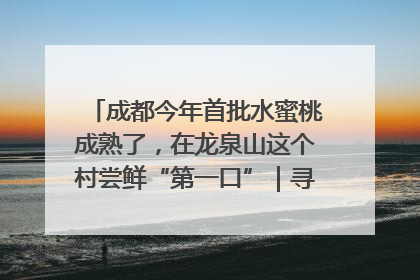 成都今年首批水蜜桃成熟了，在龙泉山这个村尝鲜“第一口”｜寻找和美乡村推荐官