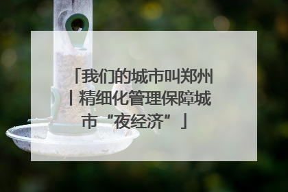 我们的城市叫郑州丨精细化管理保障城市“夜经济”