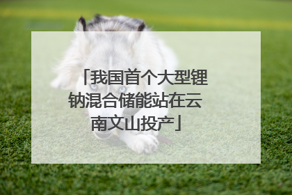 我国首个大型锂钠混合储能站在云南文山投产