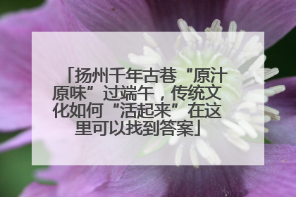 扬州千年古巷“原汁原味”过端午，传统文化如何“活起来”在这里可以找到答案
