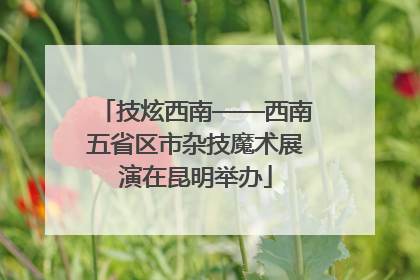 技炫西南——西南五省区市杂技魔术展演在昆明举办