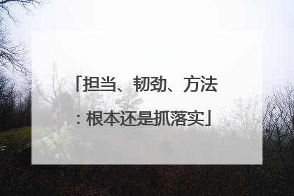 担当、韧劲、方法：根本还是抓落实