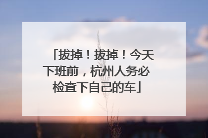 拔掉！拔掉！今天下班前，杭州人务必检查下自己的车