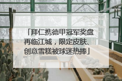 拜仁携德甲冠军奖盘再临江城，限定皮肤、创意雪糕被球迷热捧