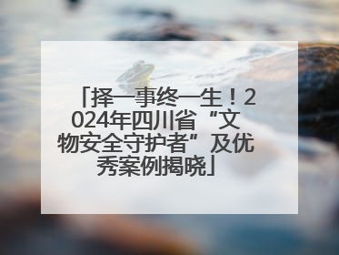择一事终一生！2024年四川省“文物安全守护者”及优秀案例揭晓