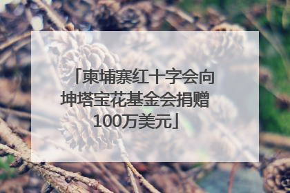 柬埔寨红十字会向坤塔宝花基金会捐赠100万美元