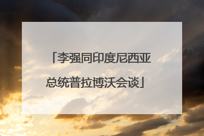 李强同印度尼西亚总统普拉博沃会谈
