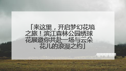 来这里，开启梦幻花境之旅！滨江森林公园绣球花展邀你共赴一场与云朵、花儿的浪漫之约