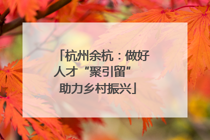 杭州余杭：做好人才“聚引留” 助力乡村振兴