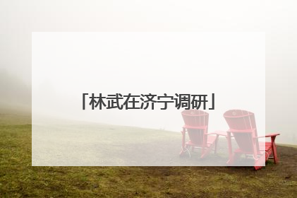 林武在济宁调研