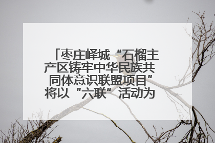 枣庄峄城“石榴主产区铸牢中华民族共同体意识联盟项目”将以“六联”活动为抓手深化品牌建设