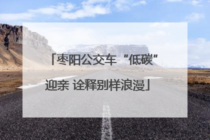 枣阳公交车“低碳”迎亲 诠释别样浪漫