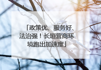 政策优、服务好、法治强！长垣营商环境跑出加速度