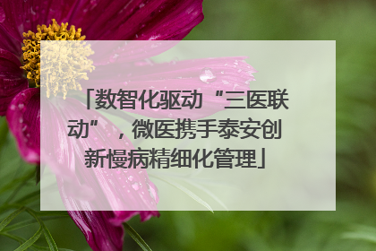 数智化驱动“三医联动”，微医携手泰安创新慢病精细化管理