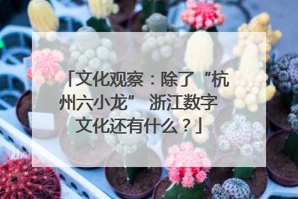 文化观察：除了“杭州六小龙” 浙江数字文化还有什么？