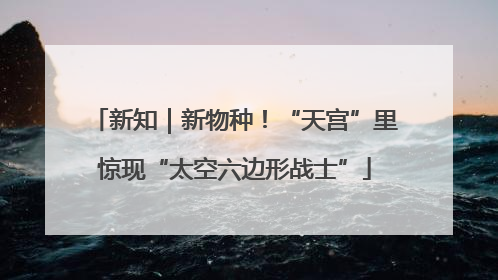 新知｜新物种！“天宫”里惊现“太空六边形战士”