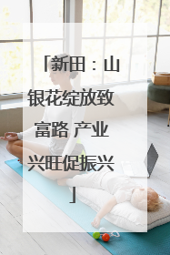 新田：山银花绽放致富路 产业兴旺促振兴