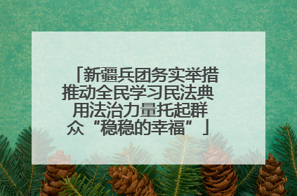新疆兵团务实举措推动全民学习民法典 用法治力量托起群众“稳稳的幸福”