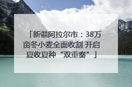 新疆阿拉尔市：38万亩冬小麦全面收割 开启夏收夏种“双重奏”