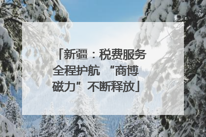新疆：税费服务全程护航 “商博磁力”不断释放