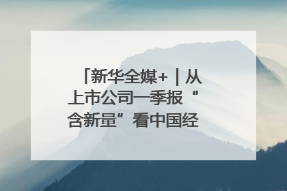 新华全媒+｜从上市公司一季报“含新量”看中国经济发展向“新”