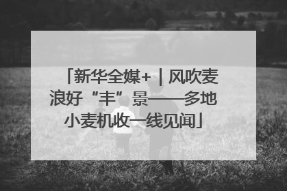 新华全媒+｜风吹麦浪好“丰”景——多地小麦机收一线见闻