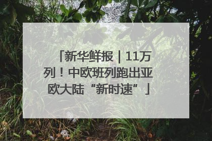 新华鲜报｜11万列！中欧班列跑出亚欧大陆“新时速”