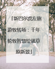 新巴尔虎左旗游牧转场：千年轮牧智慧绘就草原新景