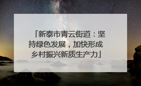 新泰市青云街道：坚持绿色发展，加快形成乡村振兴新质生产力