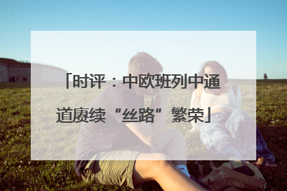 时评：中欧班列中通道赓续“丝路”繁荣