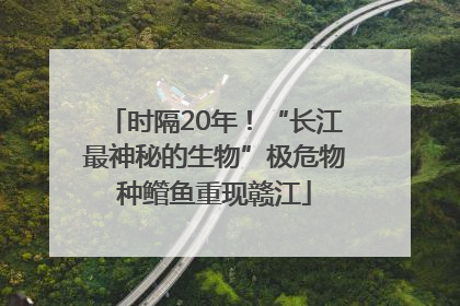 时隔20年！“长江最神秘的生物”极危物种鳤鱼重现赣江