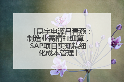 昆宇电源吕春燕：制造业需精打细算，SAP项目实现精细化成本管理